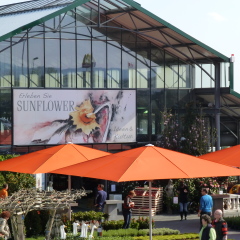 Sunflower Gartencenter (Foto: Silvana Enz)