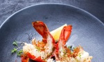 Foto: Adobe Stock/HL Photo